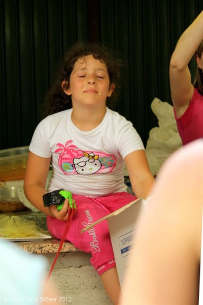 2012-07-01 B & B - Bedlington & Bichon Fun Day (301)_1000x1500.jpg